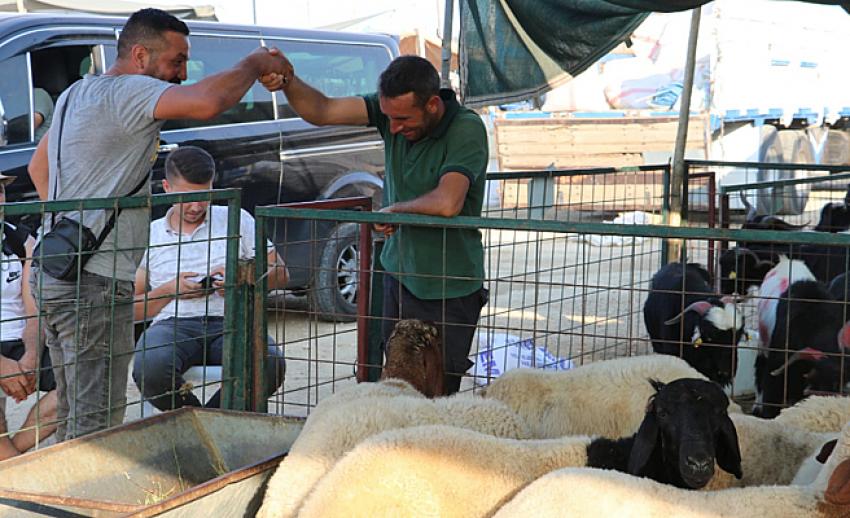 Toroslar Belediyesi kurban satış ve kesim yerleri